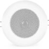 RECESSED CEILING SPEAKERS
